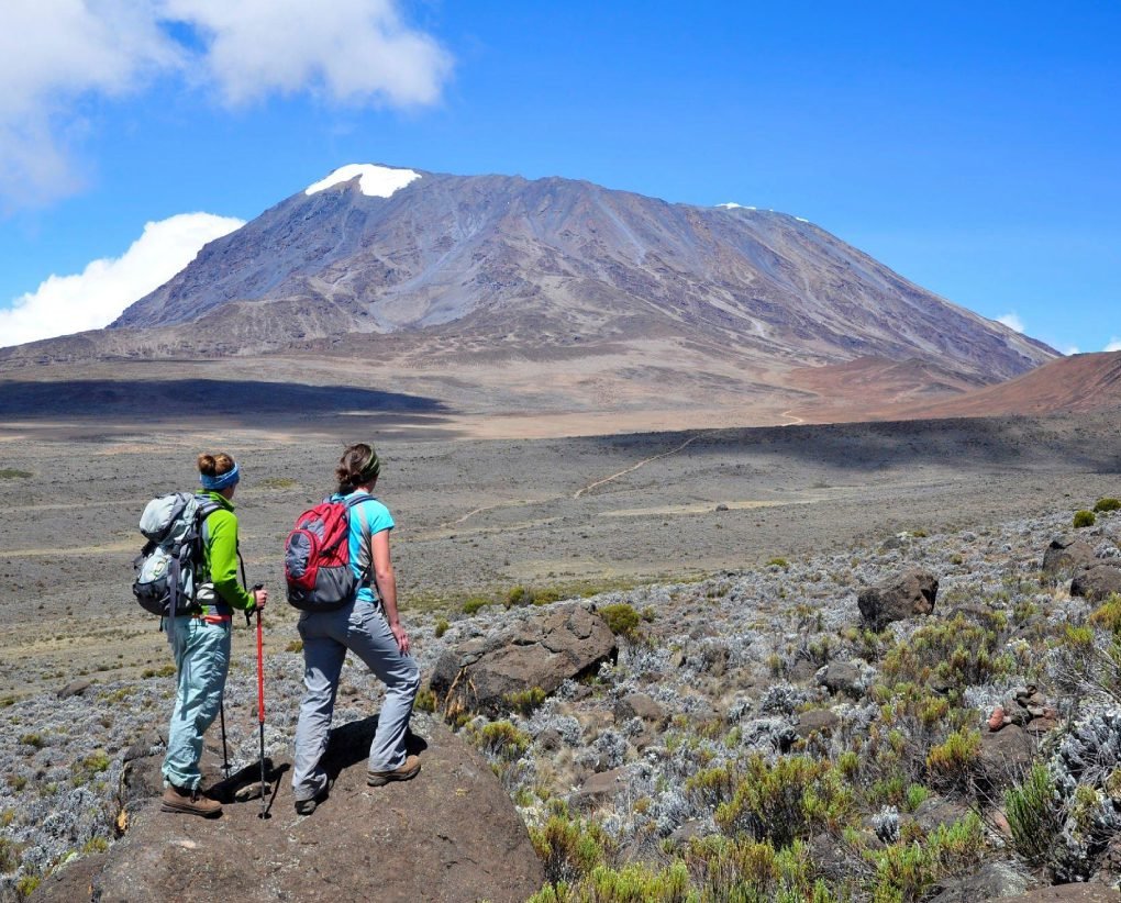 Kilimanjaro