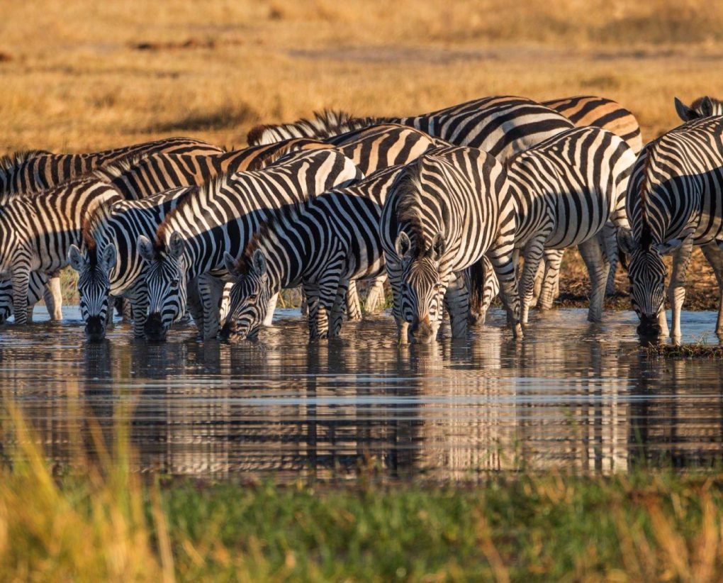 Lake Manyara