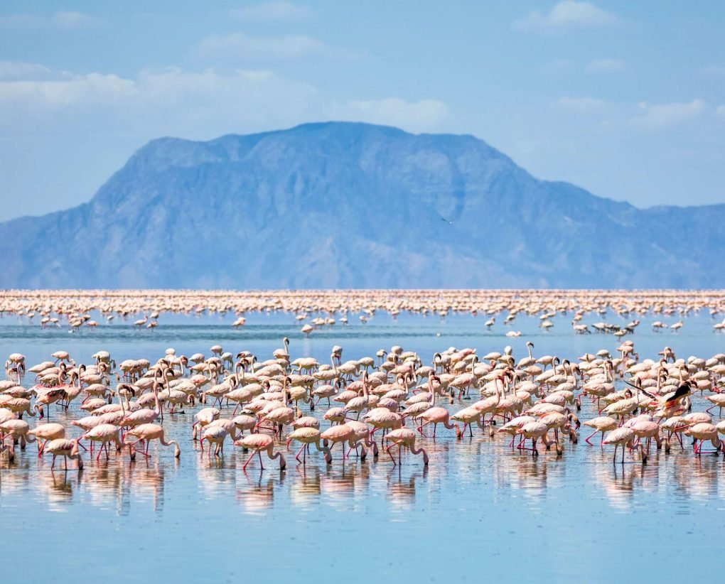 Lake Natron