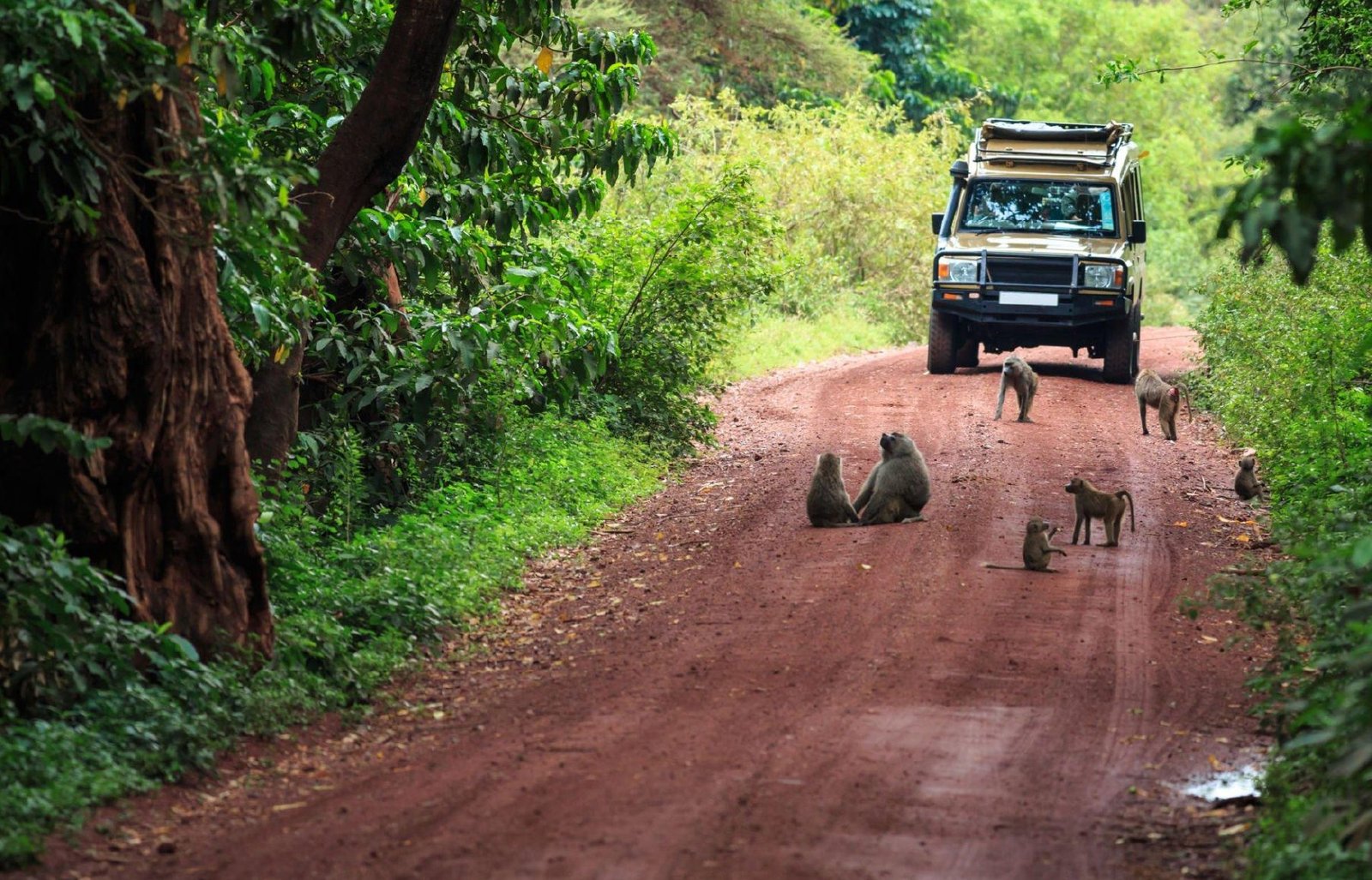 Manyara04