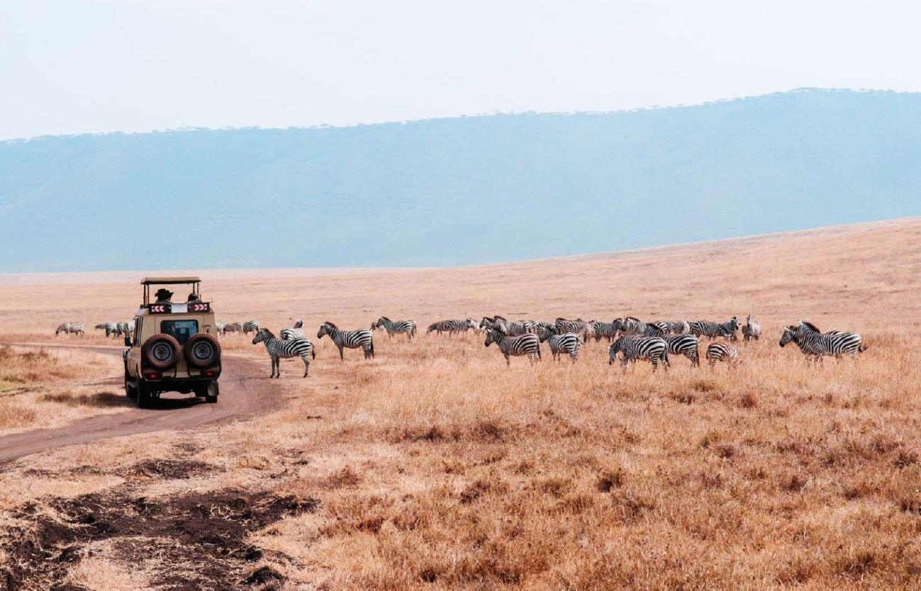 Serengeti_001